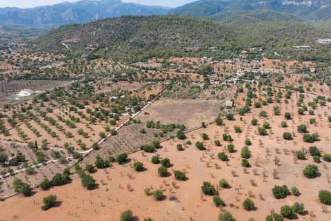 Villa a Bunyola, Mallorca, Bunyola - € 5.750.000 | Ref: 107126 - foto 20