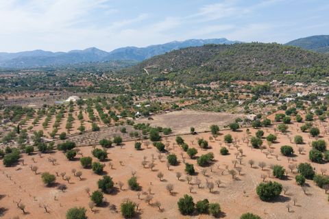 Villa a Bunyola, Mallorca, Bunyola - € 5.750.000 | Ref: 107126 - foto 21