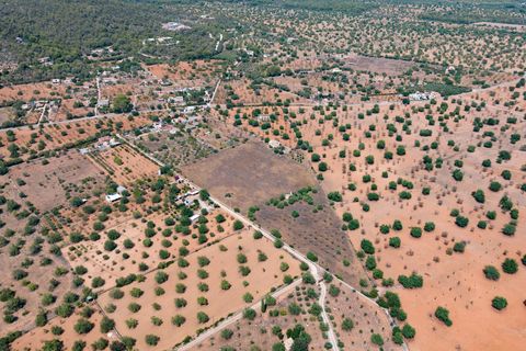 Villa a Bunyola, Mallorca, Bunyola - € 5.750.000 | Ref: 107126 - foto 22