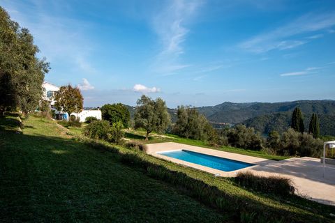 Villa a Montauroux, Var, Montauroux - € 1.100.000 | Ref: HH-15590590 - foto 31