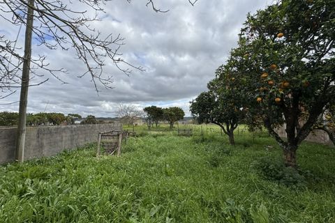 Villa i Alqueidao, Coimbra, Alqueidao - € 98.000 | Ref: FFCC 5843 - foto 34