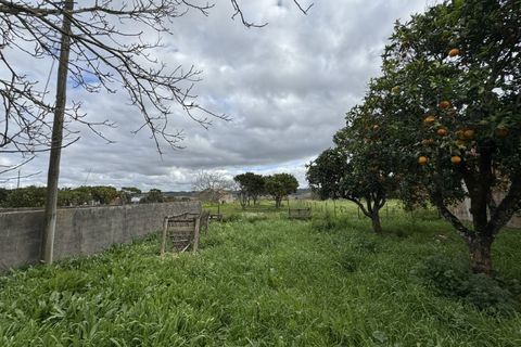 Villa i Alqueidao, Coimbra, Alqueidao - € 98.000 | Ref: FFCC 5843 - foto 37
