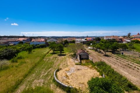 Villa i Alqueidao, Coimbra, Alqueidao - € 98.000 | Ref: FFCC 5843 - foto 48