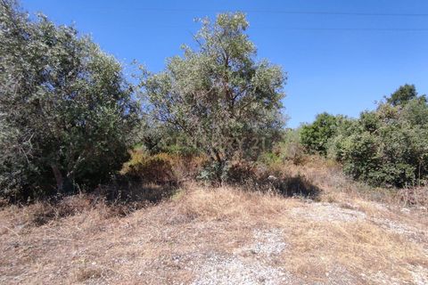 Helårsgrund i Vila Vicosa, Evora, Vila Vicosa - € 15.000 | Ref: C0284-00679 - foto 2