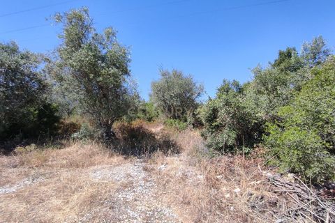 Helårsgrund i Vila Vicosa, Evora, Vila Vicosa - € 15.000 | Ref: C0284-00679 - foto 4