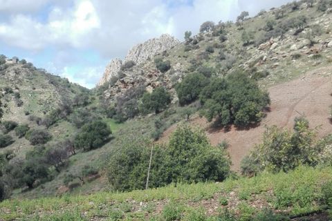 Villa a Alora, Malaga, Alora - € 315.000 | Ref: CLDA-47437 - foto 7