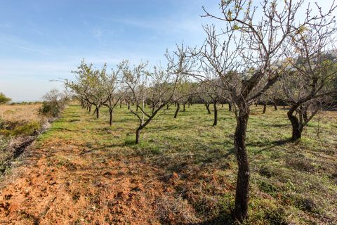 Helårsgrund i Orba, Alicante, Orba - € 145.000 | Ref: xpg00927 - foto 8