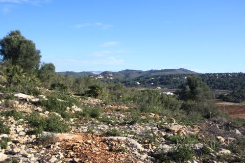 Helårsgrund i Jalon, Alicante, Jalon - € 145.000 | Ref: xpg001641 - foto 6