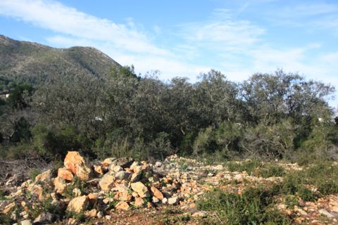Helårsgrund i Jalon, Alicante, Jalon - € 145.000 | Ref: xpg001641 - foto 7