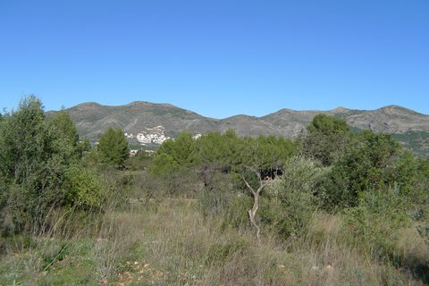 Helårsgrund i Jalon, Alicante, Jalon - € 160.000 | Ref: xpg001045 - foto 1