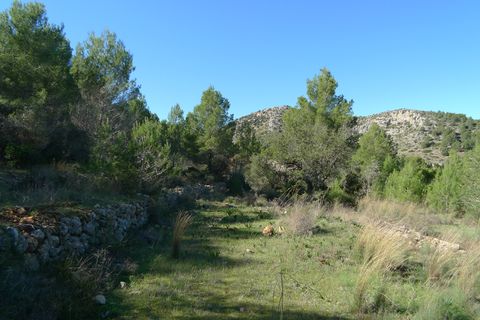 Helårsgrund i Jalon, Alicante, Jalon - € 160.000 | Ref: xpg001045 - foto 2