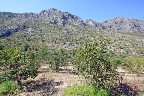 Helårsgrund i Orba, Alicante, Orba - € 165.000 | Ref: xpg001372 - foto 1