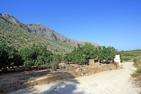 Helårsgrund i Orba, Alicante, Orba - € 165.000 | Ref: xpg001372 - foto 8