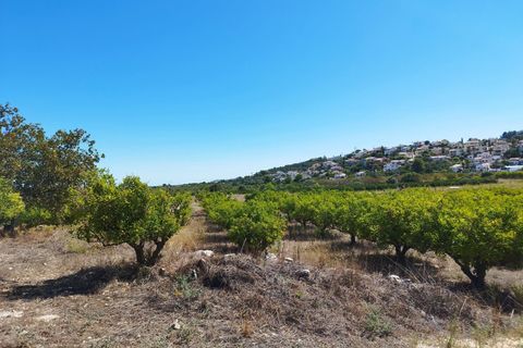 Helårsgrund i Orba, Alicante, Orba - € 100.000 | Ref: xpg001373 - foto 4
