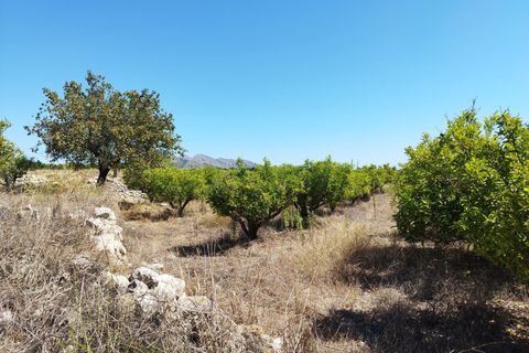 Helårsgrund i Orba, Alicante, Orba - € 100.000 | Ref: xpg001373 - foto 5