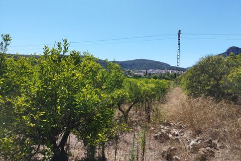 Helårsgrund i Orba, Alicante, Orba - € 100.000 | Ref: xpg001373 - foto 7