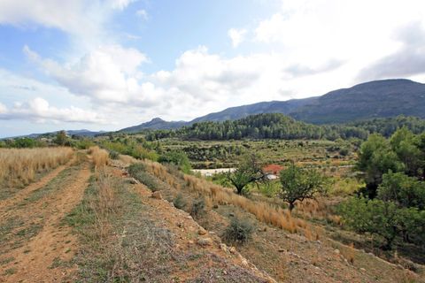 Helårsgrund i Jalon, Alicante, Jalon - € 107.000 | Ref: xpg00953 - foto 2