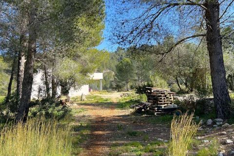 Finca i Orba, Alicante, Orba - € 850.000 | Ref: xgv285 - foto 4
