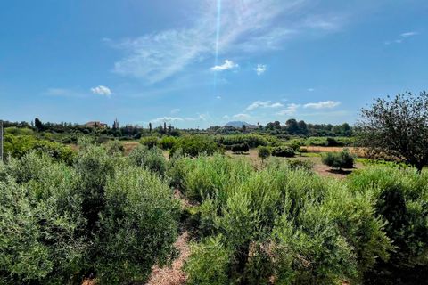 Finca i Denia, Alicante, Denia - € 695.000 | Ref: xlbr045 - foto 20