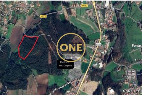 Helårsgrund i Barcelos, Braga, Barcelos - € 90.000 | Ref: ONE0011489-11 - foto 3