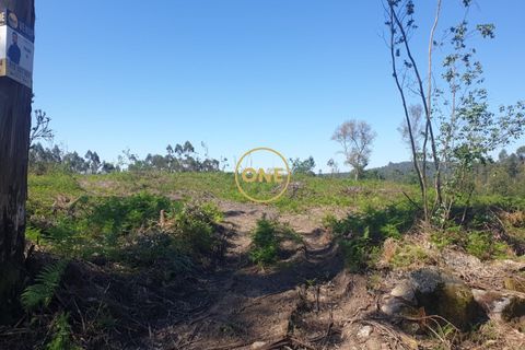 Helårsgrund i Barcelos, Braga, Barcelos - € 90.000 | Ref: ONE0011489-11 - foto 5