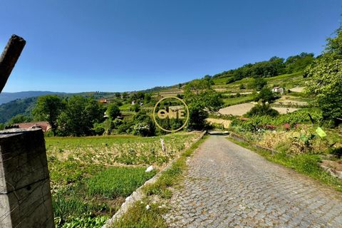 Helårsgrund i Baiao, Porto, Baiao - € 65.000 | Ref: ONE91448-22 - foto 2