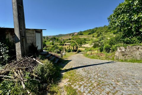 Helårsgrund i Baiao, Porto, Baiao - € 65.000 | Ref: ONE91448-22 - foto 4