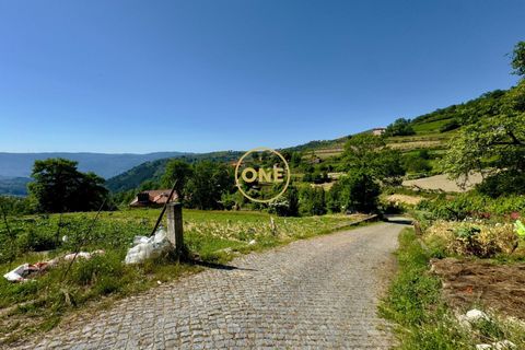 Helårsgrund i Baiao, Porto, Baiao - € 65.000 | Ref: ONE91448-22 - foto 5