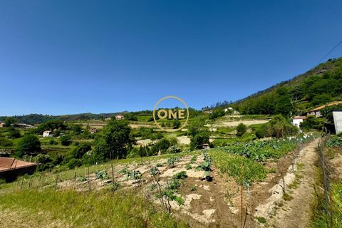 Helårsgrund i Baiao, Porto, Baiao - € 65.000 | Ref: ONE91448-22 - foto 6