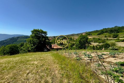 Helårsgrund i Baiao, Porto, Baiao - € 65.000 | Ref: ONE91448-22 - foto 9