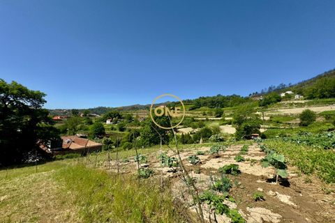 Helårsgrund i Baiao, Porto, Baiao - € 65.000 | Ref: ONE91448-22 - foto 10