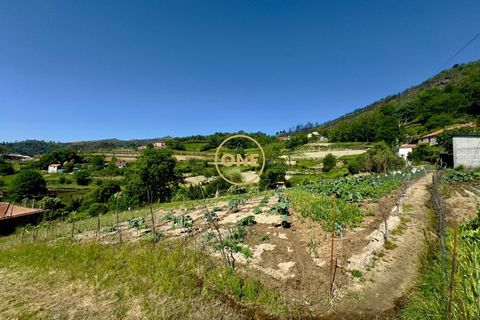 Helårsgrund i Baiao, Porto, Baiao - € 65.000 | Ref: ONE91448-22 - foto 11