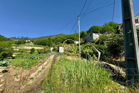 Helårsgrund i Baiao, Porto, Baiao - € 65.000 | Ref: ONE91448-22 - foto 12