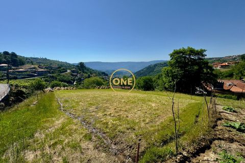 Helårsgrund i Baiao, Porto, Baiao - € 65.000 | Ref: ONE91448-22 - foto 13