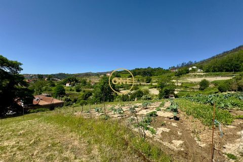 Helårsgrund i Baiao, Porto, Baiao - € 65.000 | Ref: ONE91448-22 - foto 14