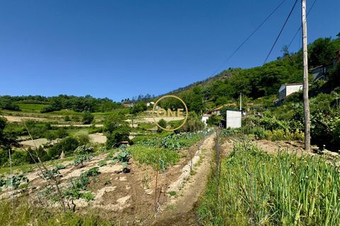 Helårsgrund i Baiao, Porto, Baiao - € 65.000 | Ref: ONE91448-22 - foto 15