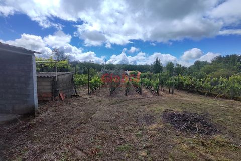 Helårsgrund i Viseu, Viseu, Viseu - € 50.000 | Ref: 189242148 - foto 2