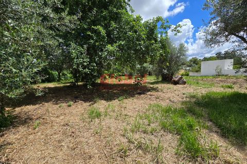 Helårsgrund i Viseu, Viseu, Viseu - € 137.500 | Ref: 189242184 - foto 1