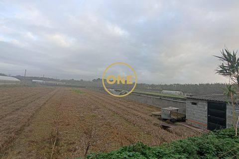 Helårsgrund i Esposende, Braga, Esposende - € 50.000 | Ref: ONE0021257-177 - foto 1