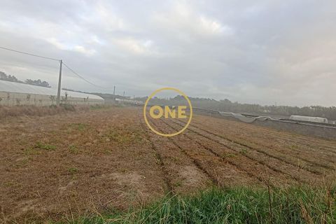 Helårsgrund i Esposende, Braga, Esposende - € 50.000 | Ref: ONE0021257-177 - foto 2