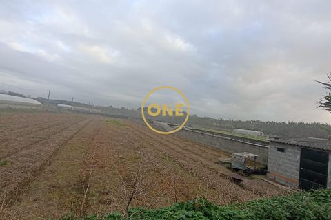 Helårsgrund i Esposende, Braga, Esposende - € 50.000 | Ref: ONE0021257-177 - foto 3