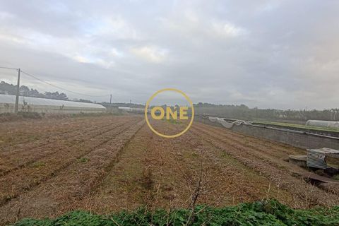 Helårsgrund i Esposende, Braga, Esposende - € 50.000 | Ref: ONE0021257-177 - foto 4