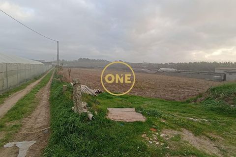 Helårsgrund i Esposende, Braga, Esposende - € 50.000 | Ref: ONE0021257-177 - foto 5