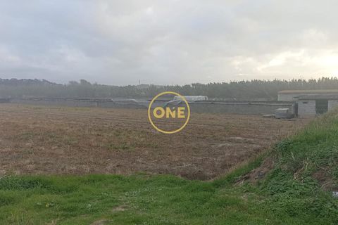 Helårsgrund i Esposende, Braga, Esposende - € 50.000 | Ref: ONE0021257-177 - foto 7