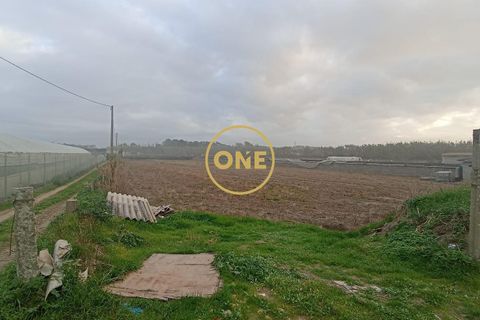 Helårsgrund i Esposende, Braga, Esposende - € 50.000 | Ref: ONE0021257-177 - foto 10