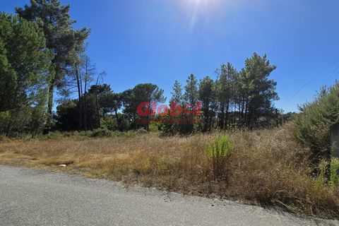 Helårsgrund i Viseu, Viseu, Viseu - € 15.000 | Ref: 189242281 - foto 1