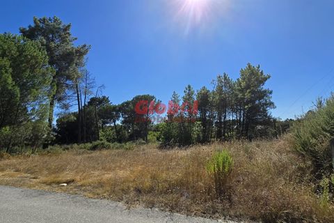 Helårsgrund i Viseu, Viseu, Viseu - € 15.000 | Ref: 189242281 - foto 2