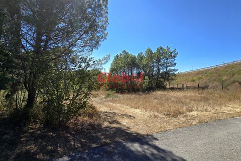 Helårsgrund i Viseu, Viseu, Viseu - € 15.000 | Ref: 189242281 - foto 3