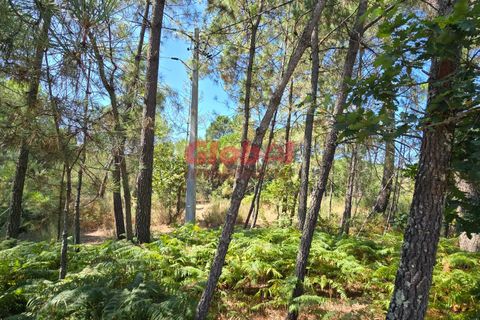 Helårsgrund i Viseu, Viseu, Viseu - € 18.000 | Ref: 189242282 - foto 2