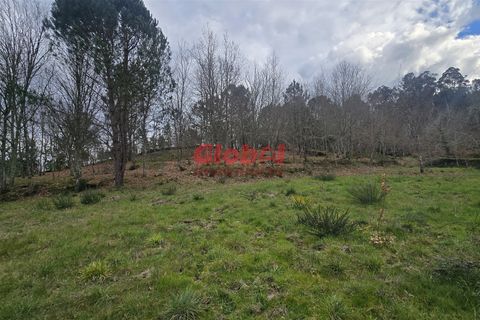 Helårsgrund i Viseu, Viseu, Viseu - € 67.500 | Ref: 189242296 - foto 4